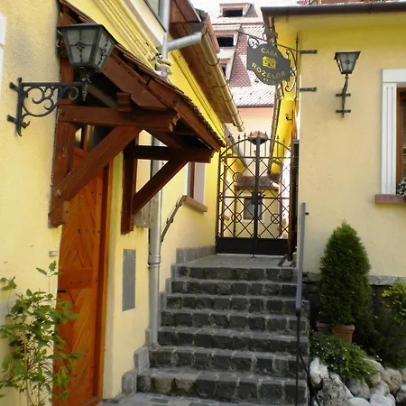 Casa Rozelor Braşov