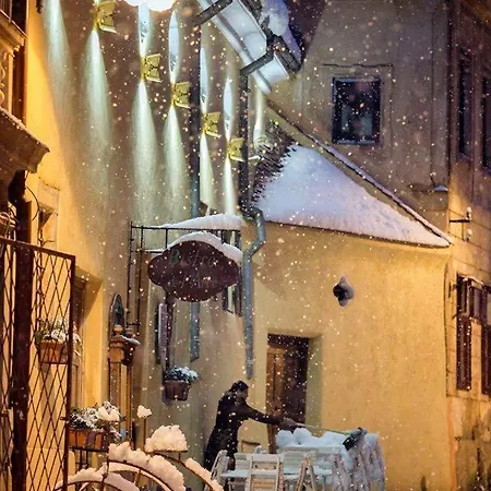 Casa Rozelor Гостевой дом 4*