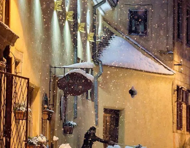 Casa Rozelor Pensjonat 4*